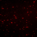 File:NBgamers Home 3.png