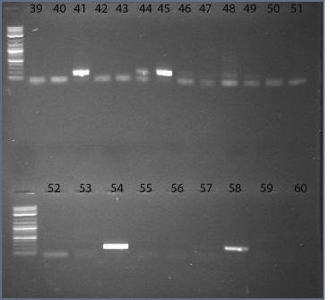 File:08dec09 -39-60 text.jpg