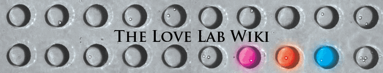 The Love Lab at MIT