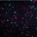 File:NBgamers Home 5.png