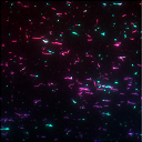 File:NBgamers Home 7.png