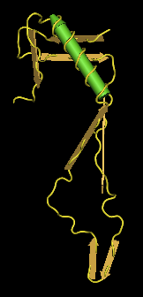 section coded for by the clones in the gp120 protein