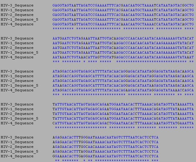 HIV-1 Nucleotide Sequence Alignment
