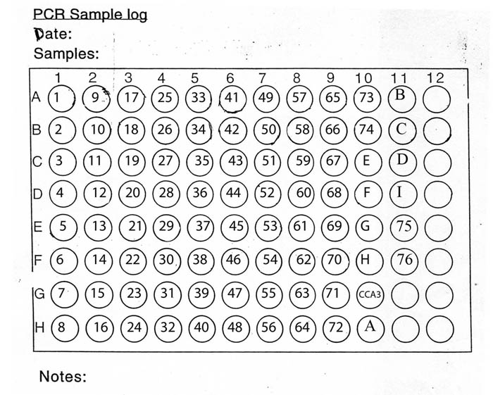 File:14April10 Plate.jpg