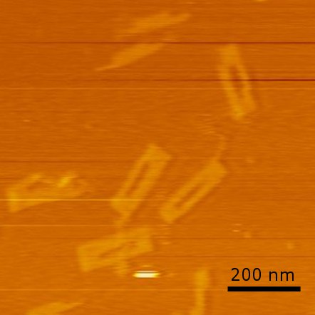 File:Stage + Convex DNA origami.jpg