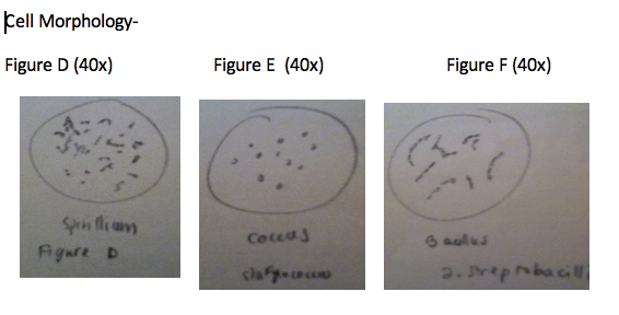 File:Screen Shot 2014-02-22 at 8.41.57 AM.png