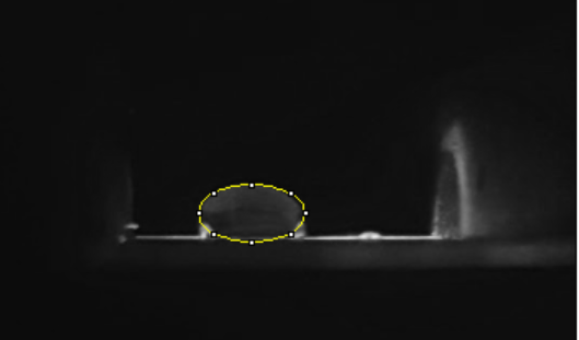 File:G11 negative PCR.png