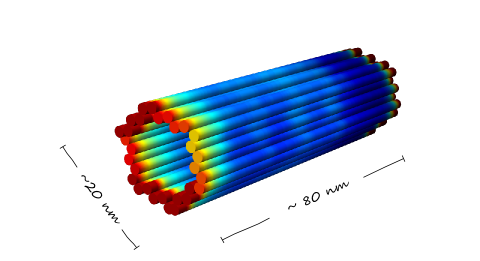 File:BIOMOD Nanopill 2.png