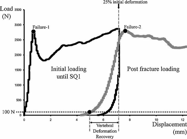 File:Graph-vertebral-deformation-larger.gif
