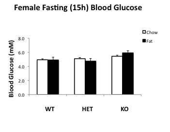 File:Female 15h fasting BG.jpg
