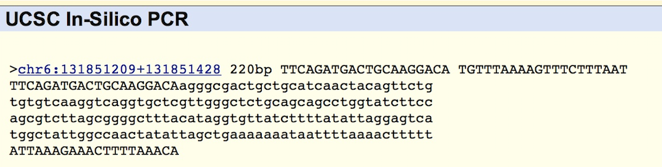 UCSC In-Silico PCR Results