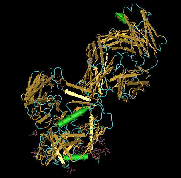 File:Wikholm secondary structure.png