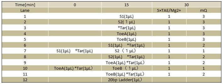 File:Format time chart.jpg